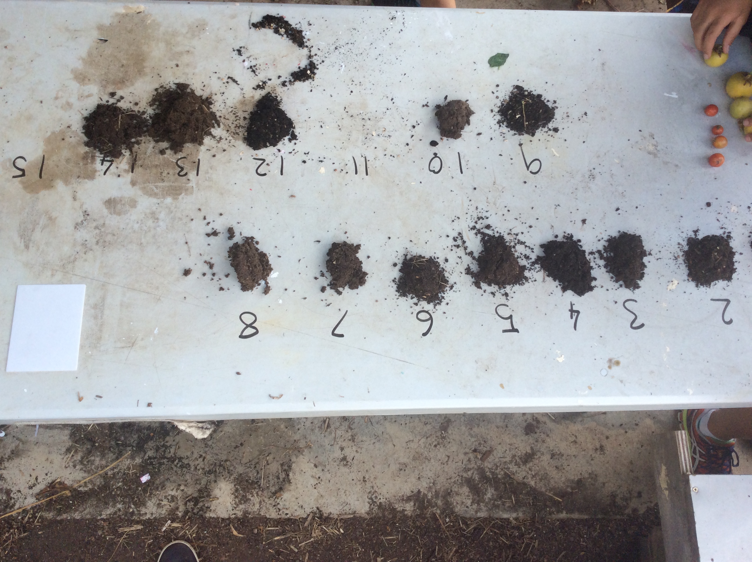 Measuring soil pH, Soil moisture and temperature